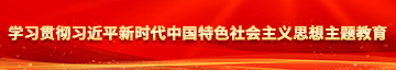 男女生狂插操逼学习贯彻习近平新时代中国特色社会主义思想主题教育